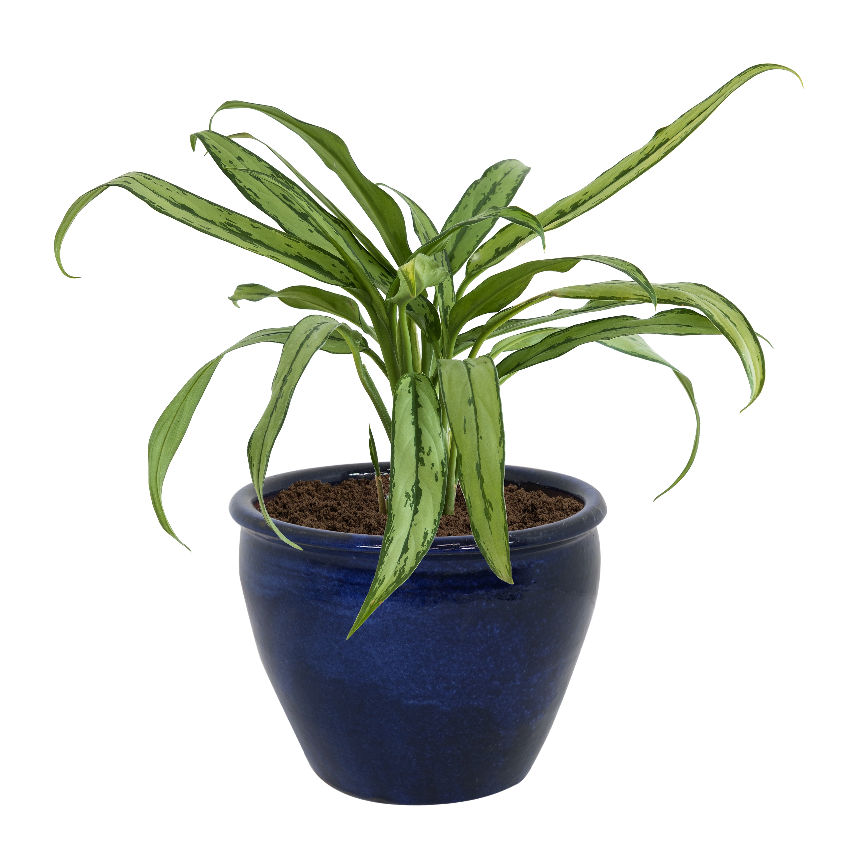 Sunnydaze Decor AP-827 Planter-Window-Box - View #10