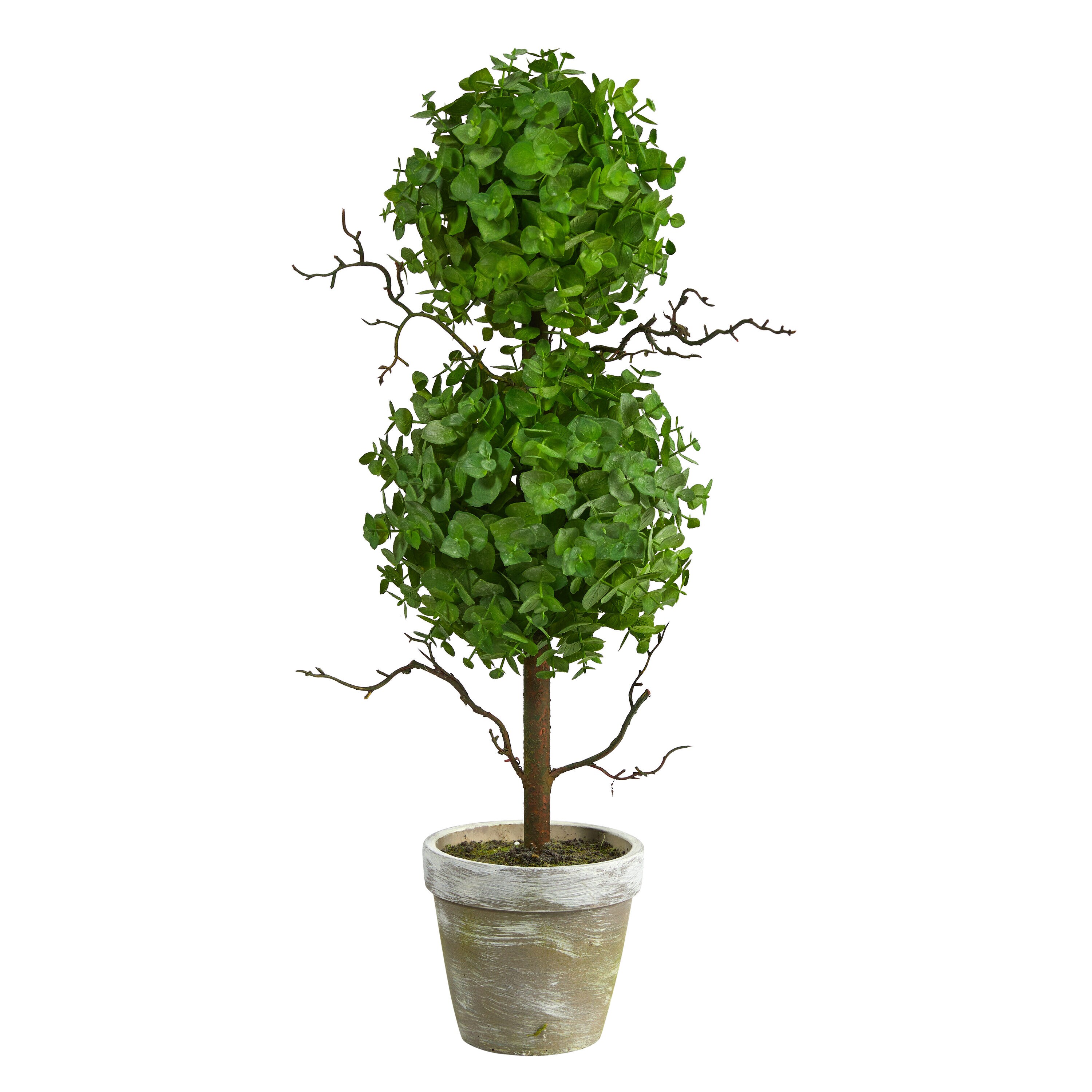 2-ft Eucalyptus Double Ball Topiary Artificial Tree