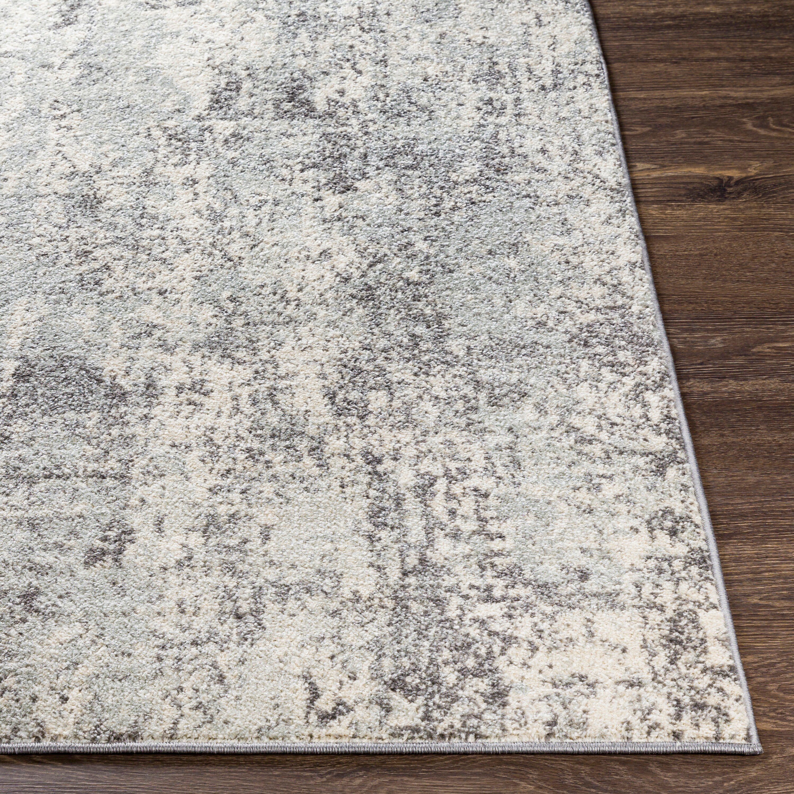 Surya CHE2357-5373 rugs - View #3