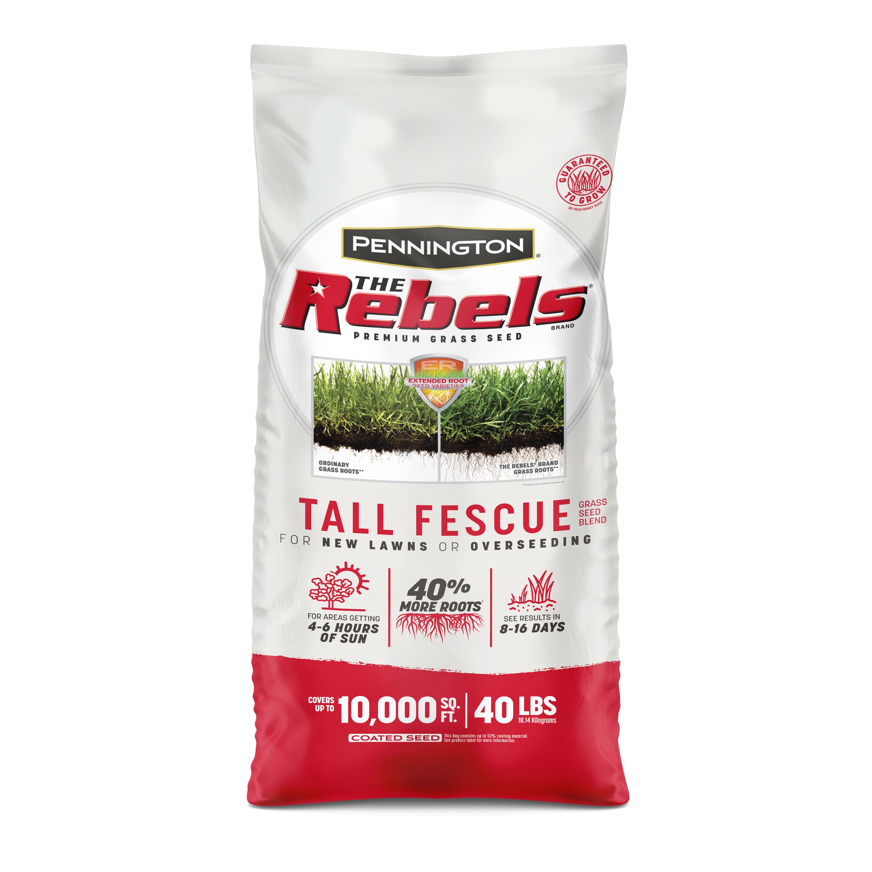 Pennington 2149602290 The Rebels 40-lb Tall fescue Grass Seed