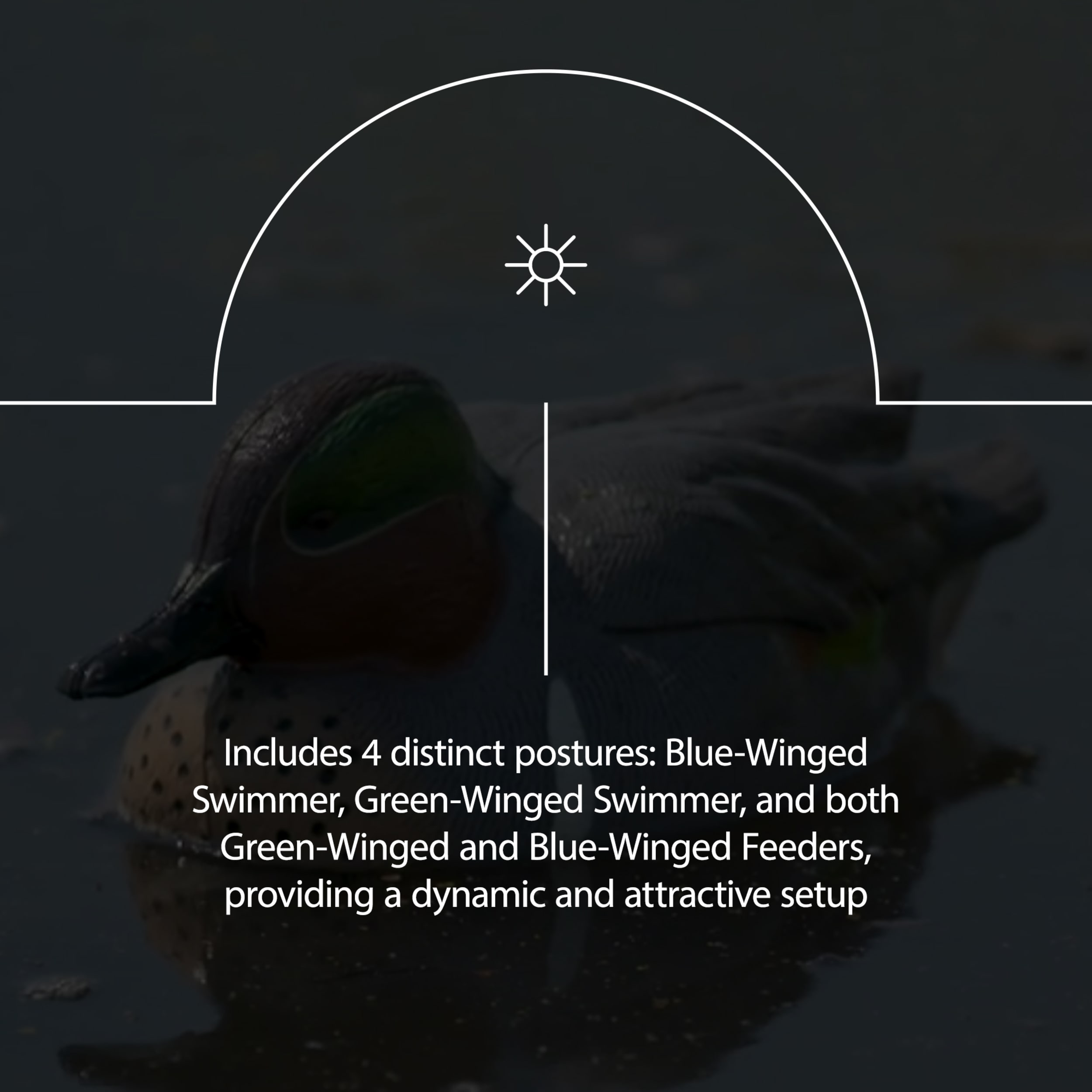  Avian X 408576 Hunting-Equipment - View #4