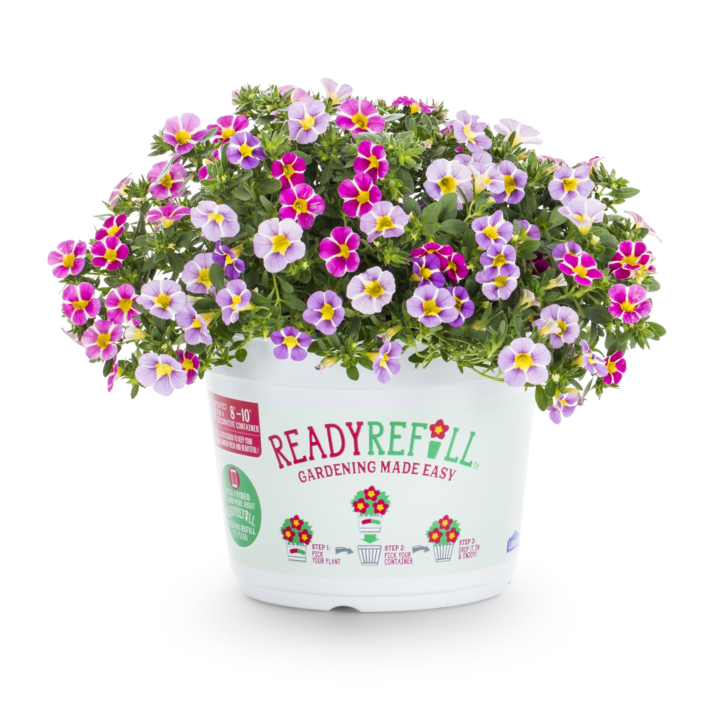 Ready Refill NURSERY Multicolor Petunia in 3 Quart(s) Pot