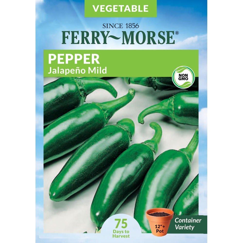 Ferry-Morse 914938.219.642138 Pepper Chili Jalapeno Vegetable Seeds 0.5 Gram(s)