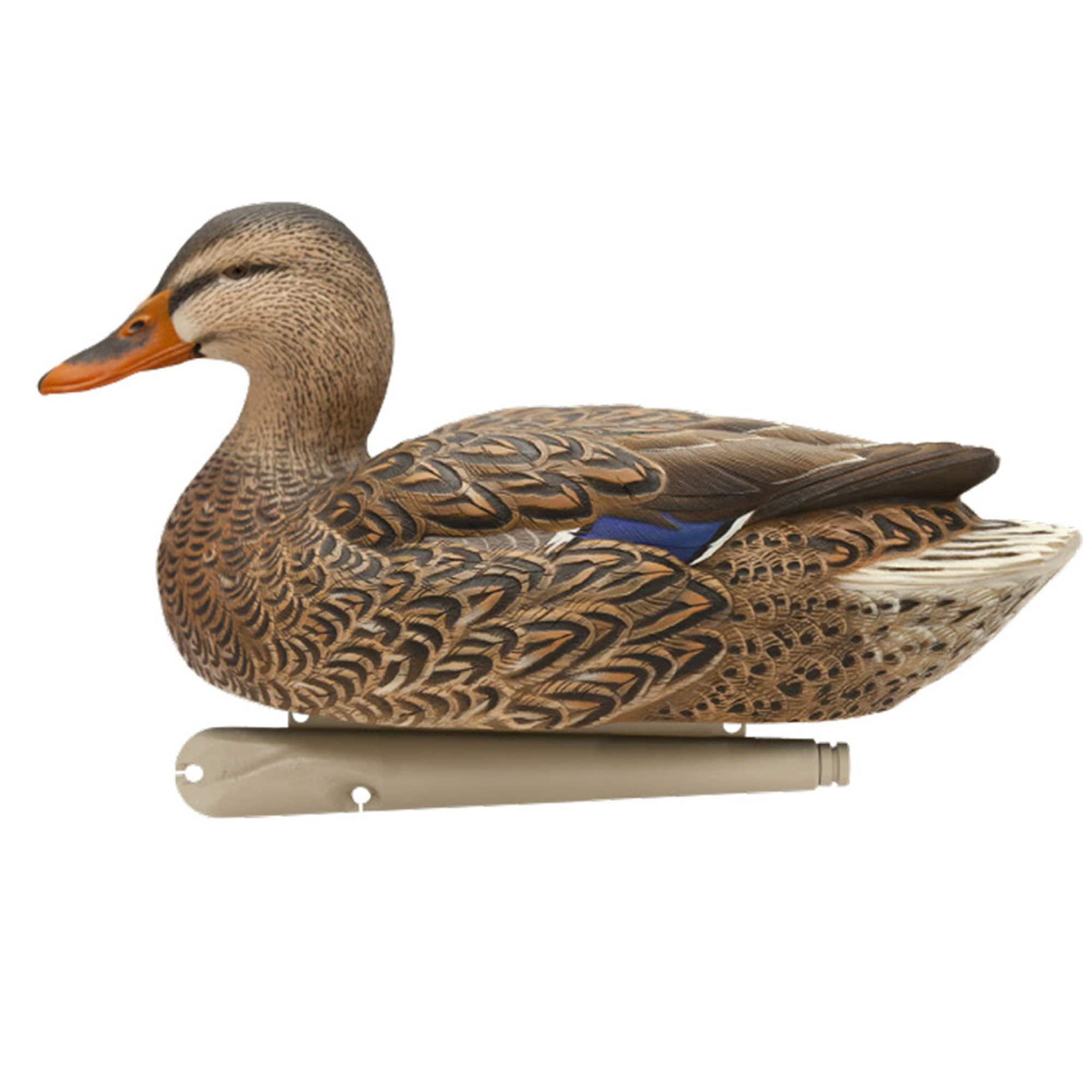  Avian X 399259 Hunting-Equipment - View #10