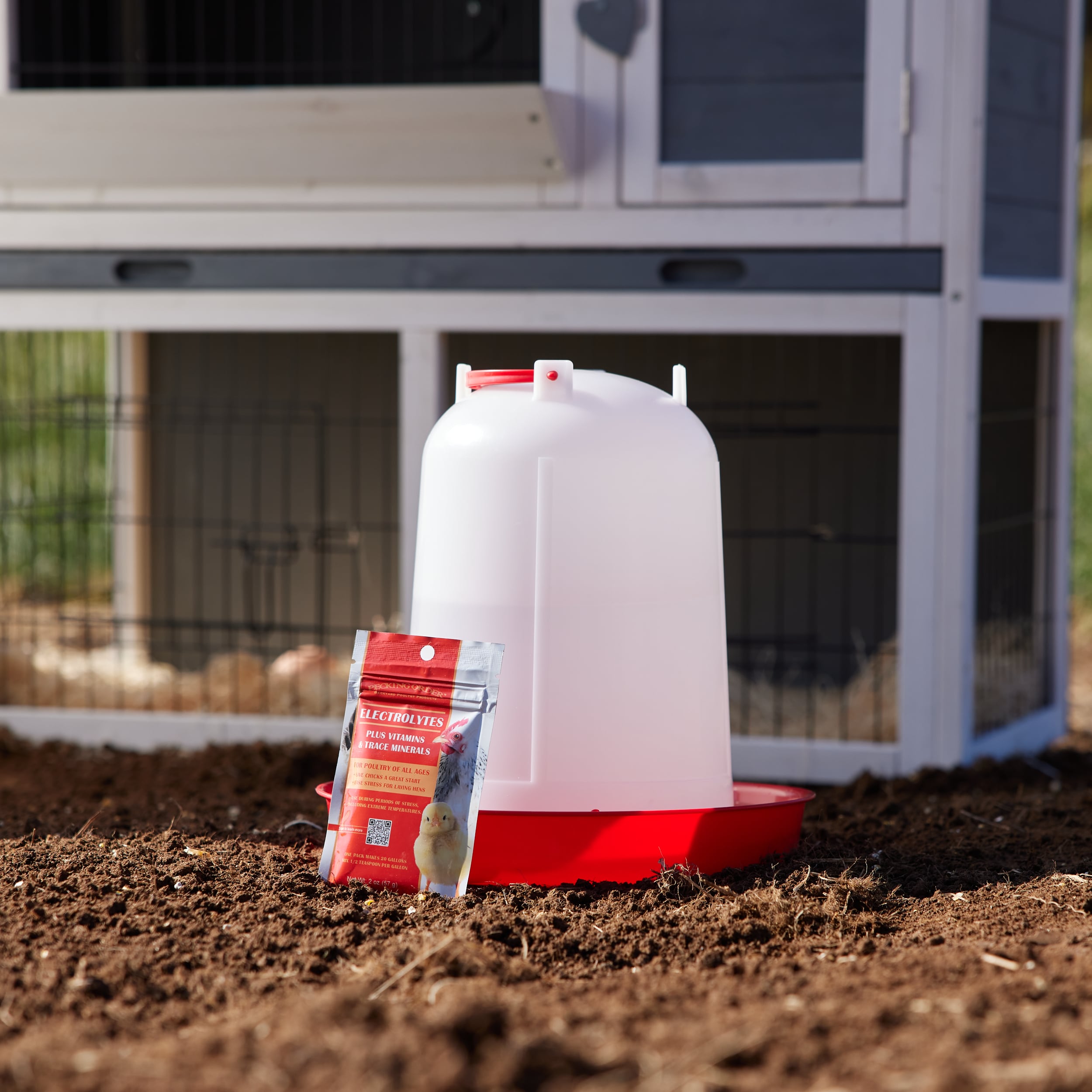 Pecking Order 009686 Poultry-Feed - View #4