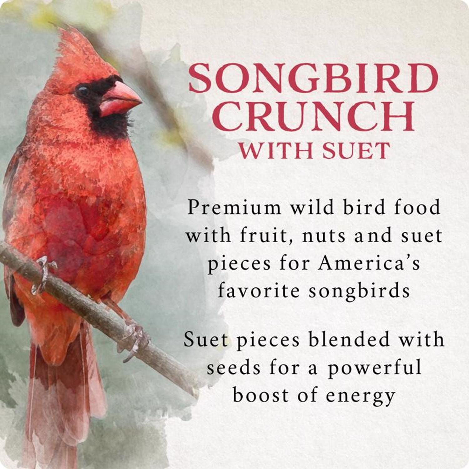 Audobon EJD8039233 Bird-Squirrel-Food - View #3