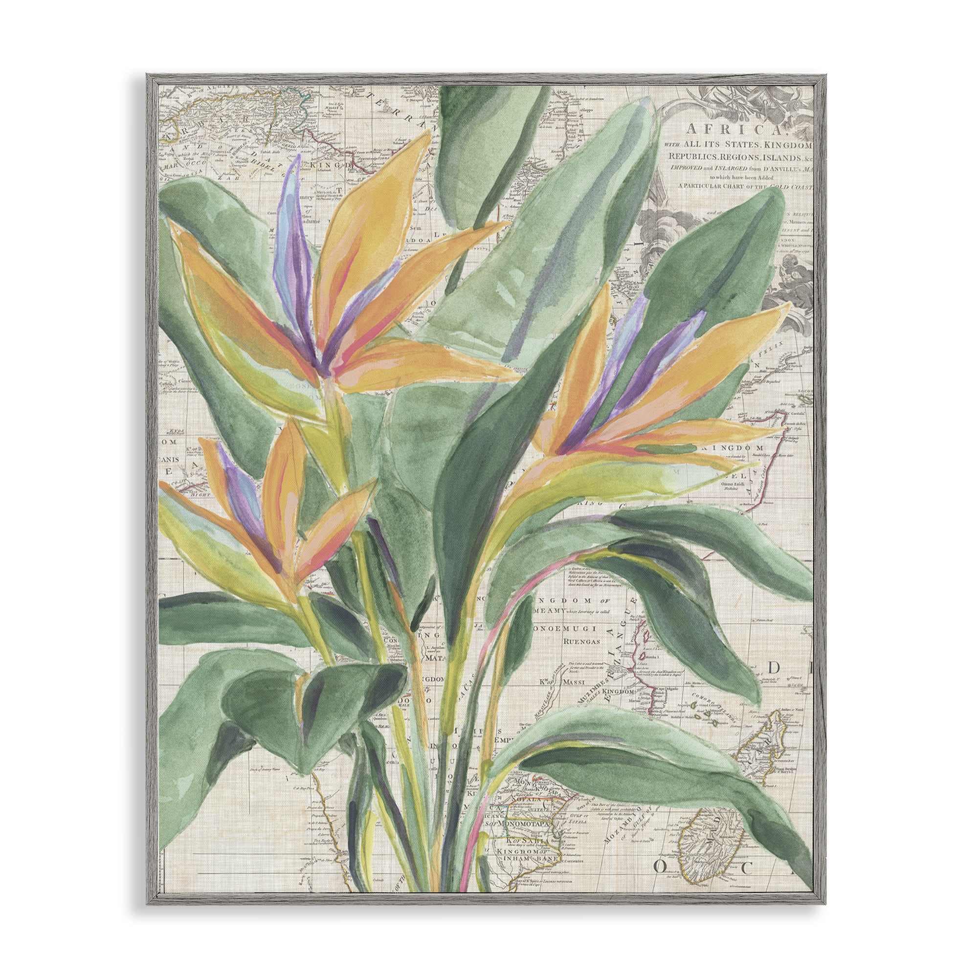 Stupell Industries BS-389-GFF-11X14 Bird of Paradise over Map Framed Giclee design by June Erica Vess