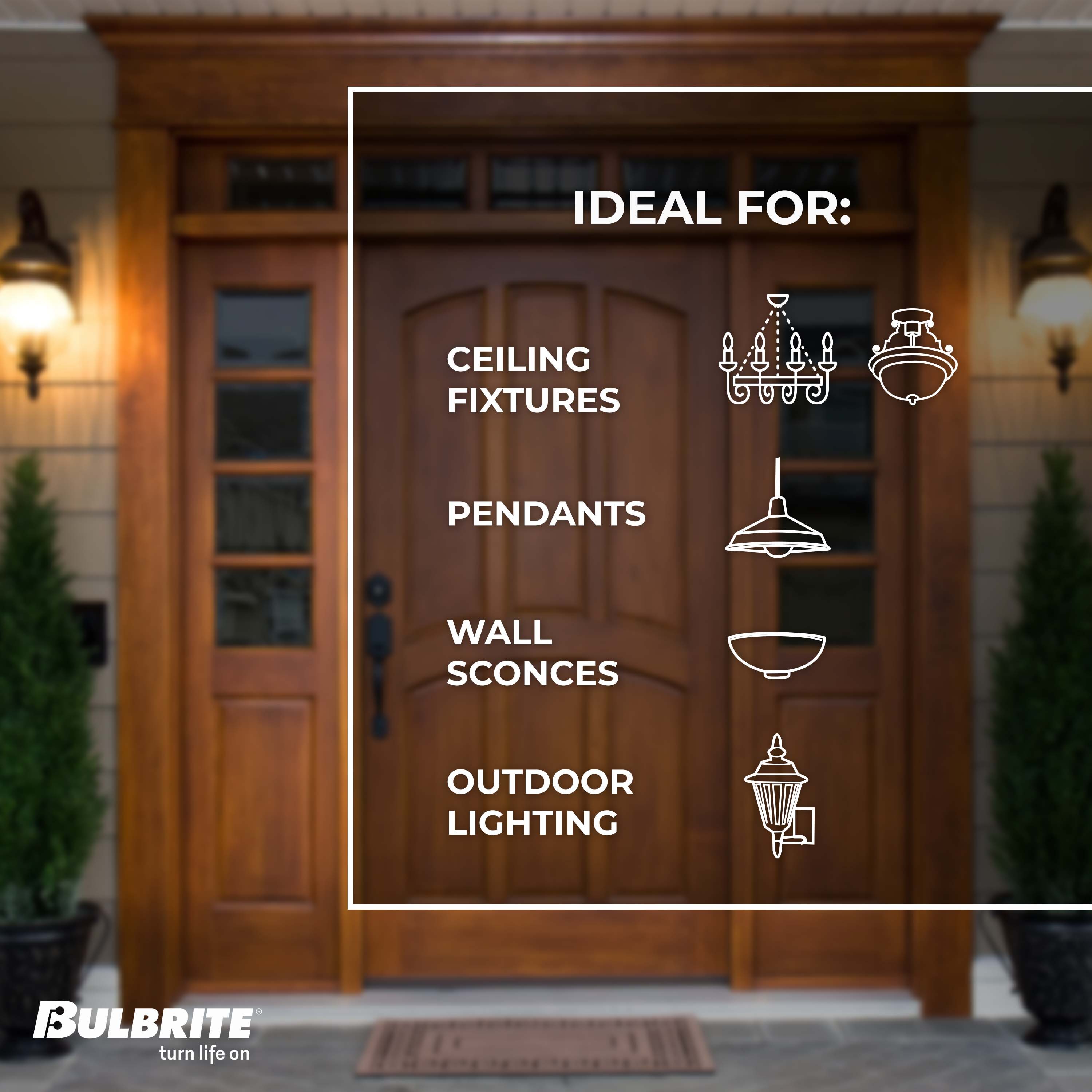 Bulbrite 860800 Specialty-Light-Bulbs - View #5
