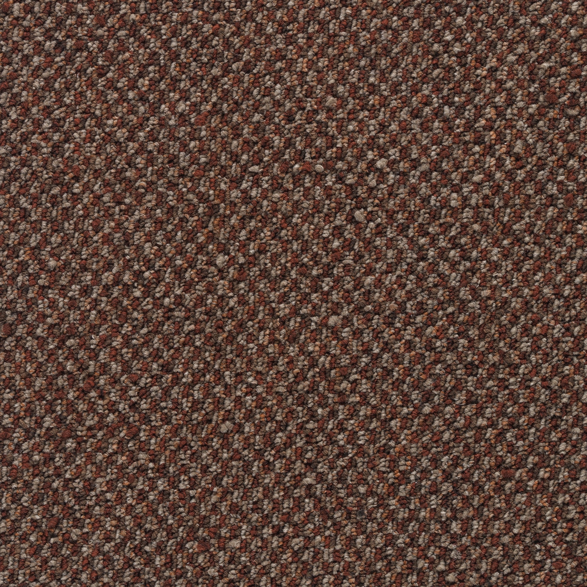  LC78-12-L004 Pro Renovations - Party Mix Village Bizaar Red 20-oz sq yard Solution-dyed polyester Pattern Indoor Carpet