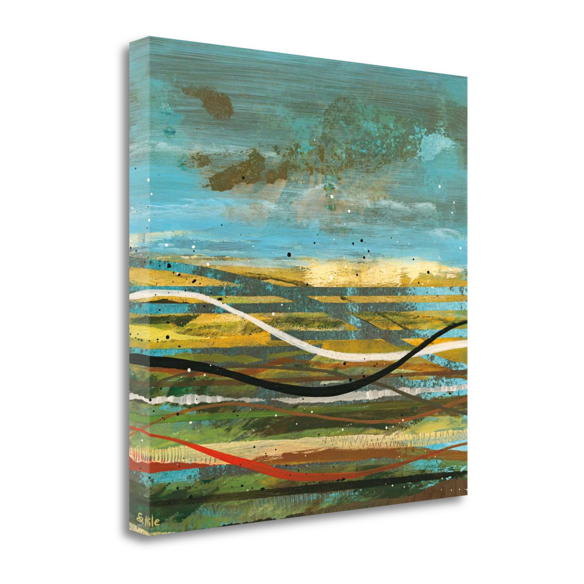 Tangletown Fine Art ICH966D-2020C 20-in H x 20-in W Abstract Print on Canvas