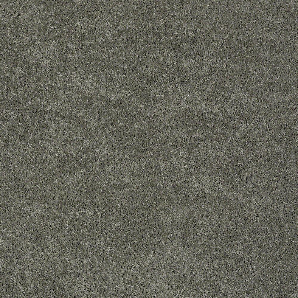 STAINMASTER 7L60500502 PetProtect Baxter IV Winston Textured Indoor Carpet