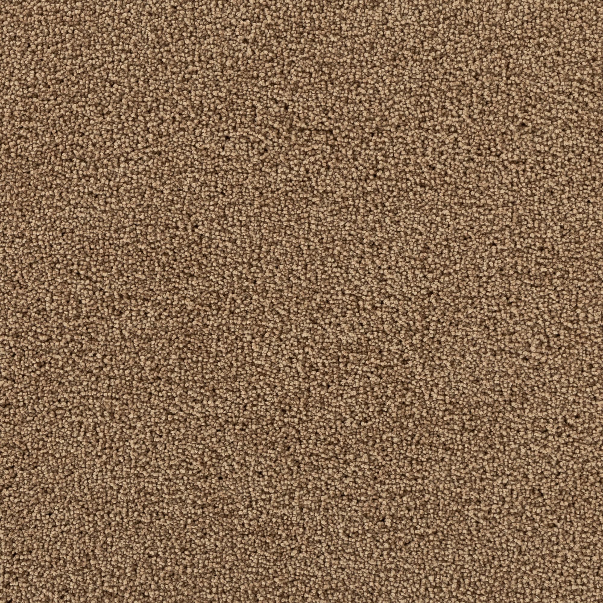 STAINMASTER STP43-12-L012 Soothing space I Sundial Brown 45-oz sq yard Polyester Textured Indoor Carpet