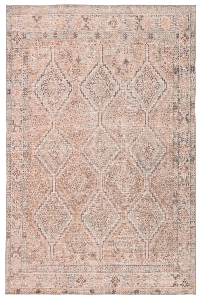 Emilio Pink and Blue Updated Traditional Area Rug 3'11 x 5'11
