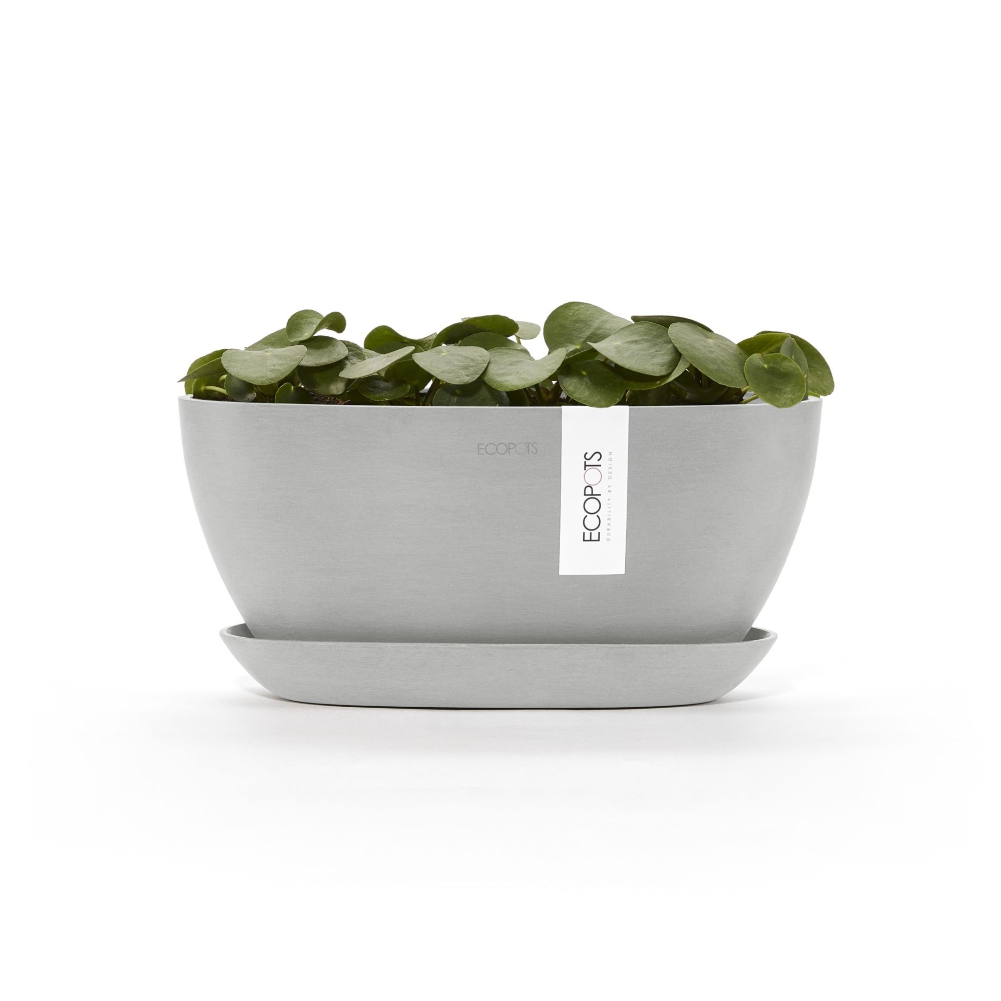 ECOPOTS 5413724326649 Planter-Window-Box - View #5