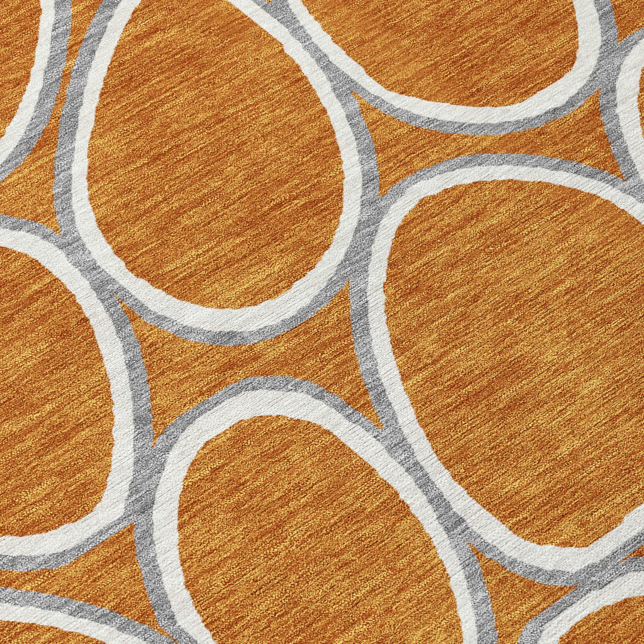 Addison Rugs ACN1041PK30X46 rugs - View #6