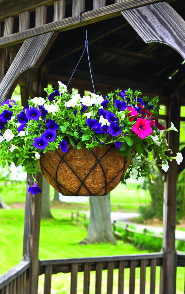 Pride Garden Products 19451 Planter-Window-Box - View #2