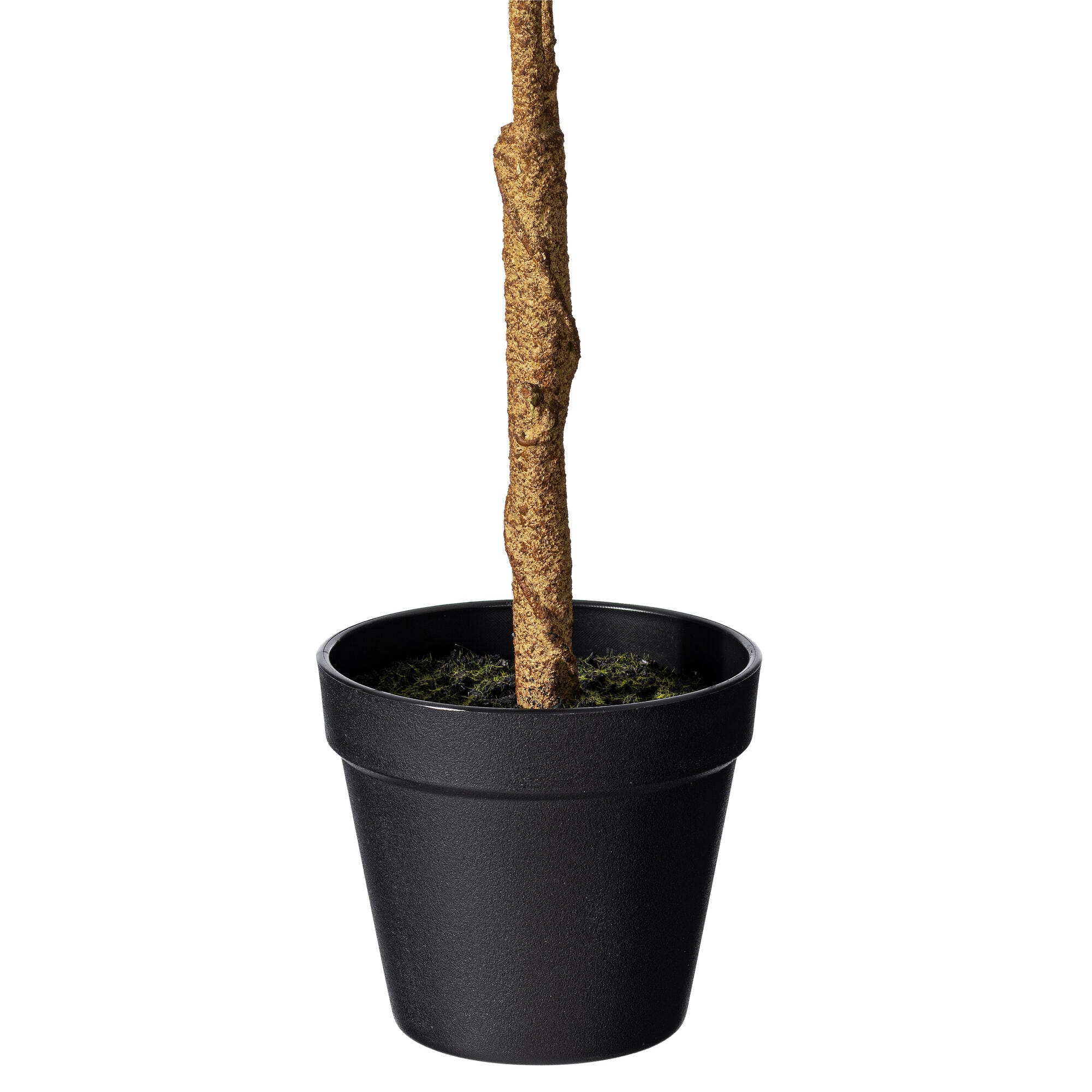Vickerman TA190128 Artificial-Plants-Trees - View #5