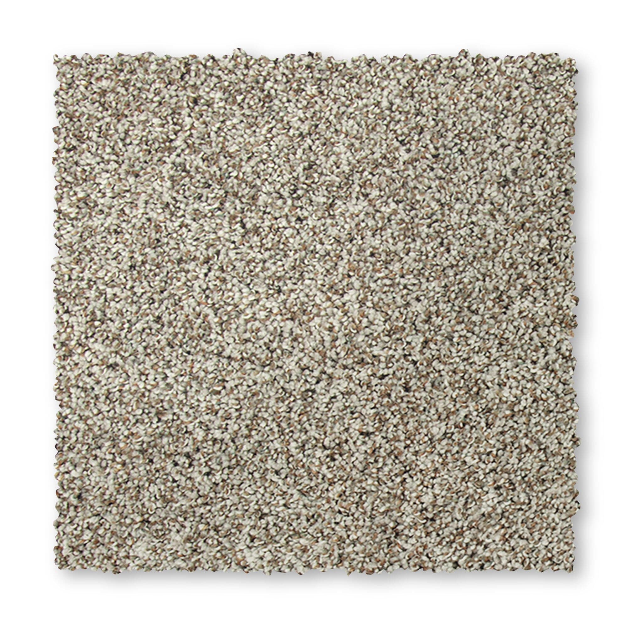 STAINMASTER Mellow Rhythm I Stonework Textured Indoor Carpet in the Carpet  department at