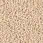 Coastal Sand
