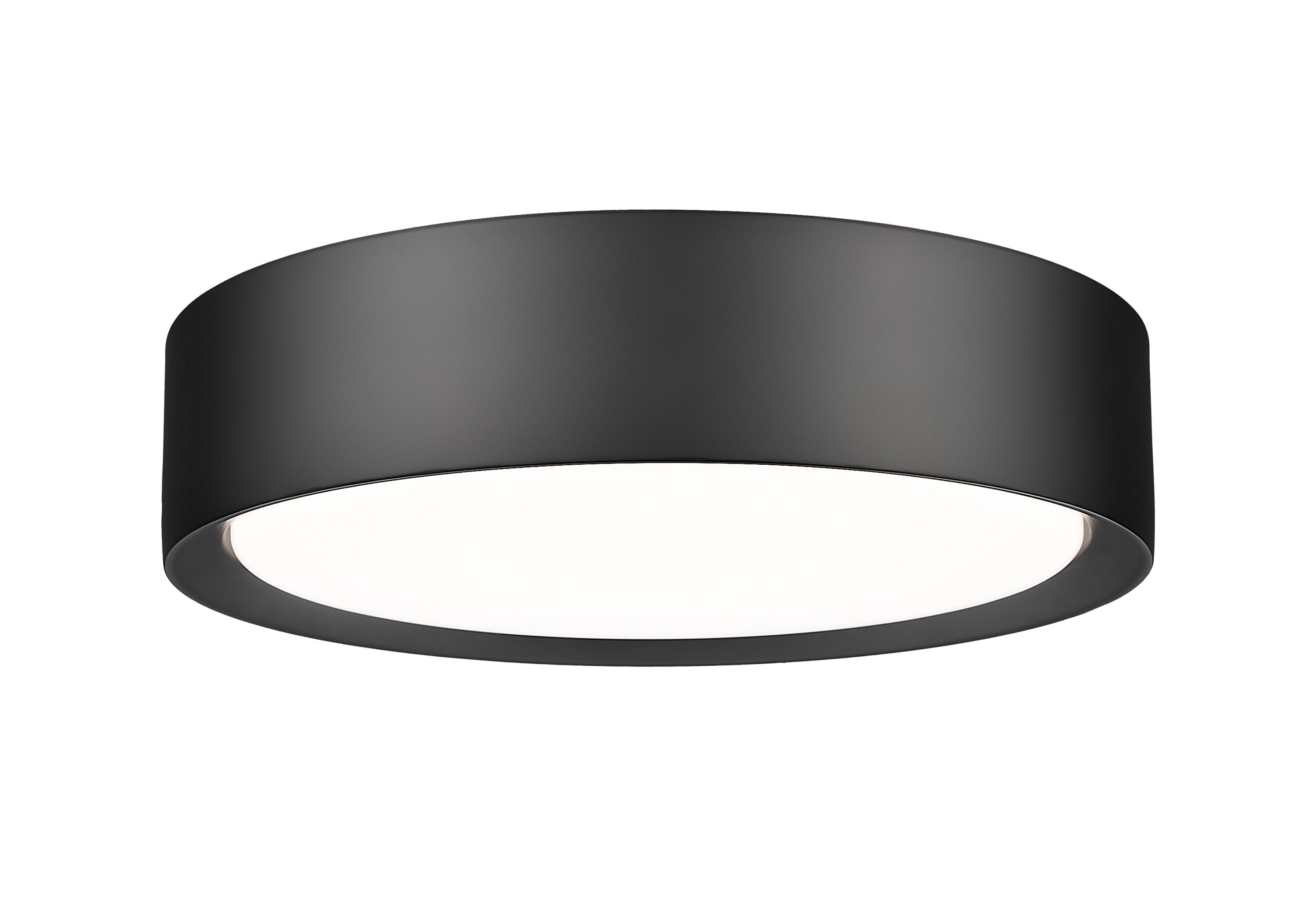 Z-Lite 1014F12-MB-LED flushmounts - View #2