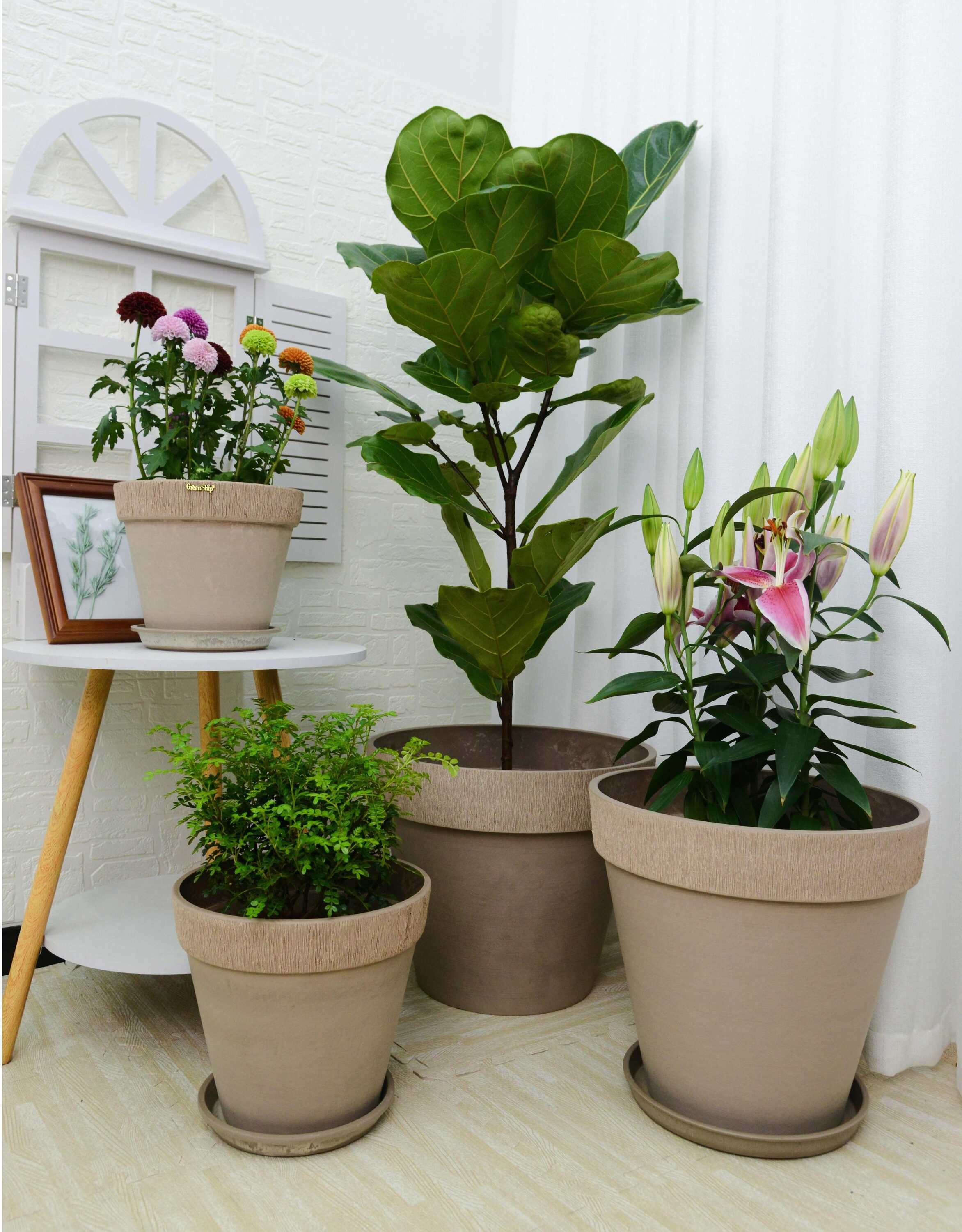 Greenship GB-MM50TC Planter-Window-Box - View #2