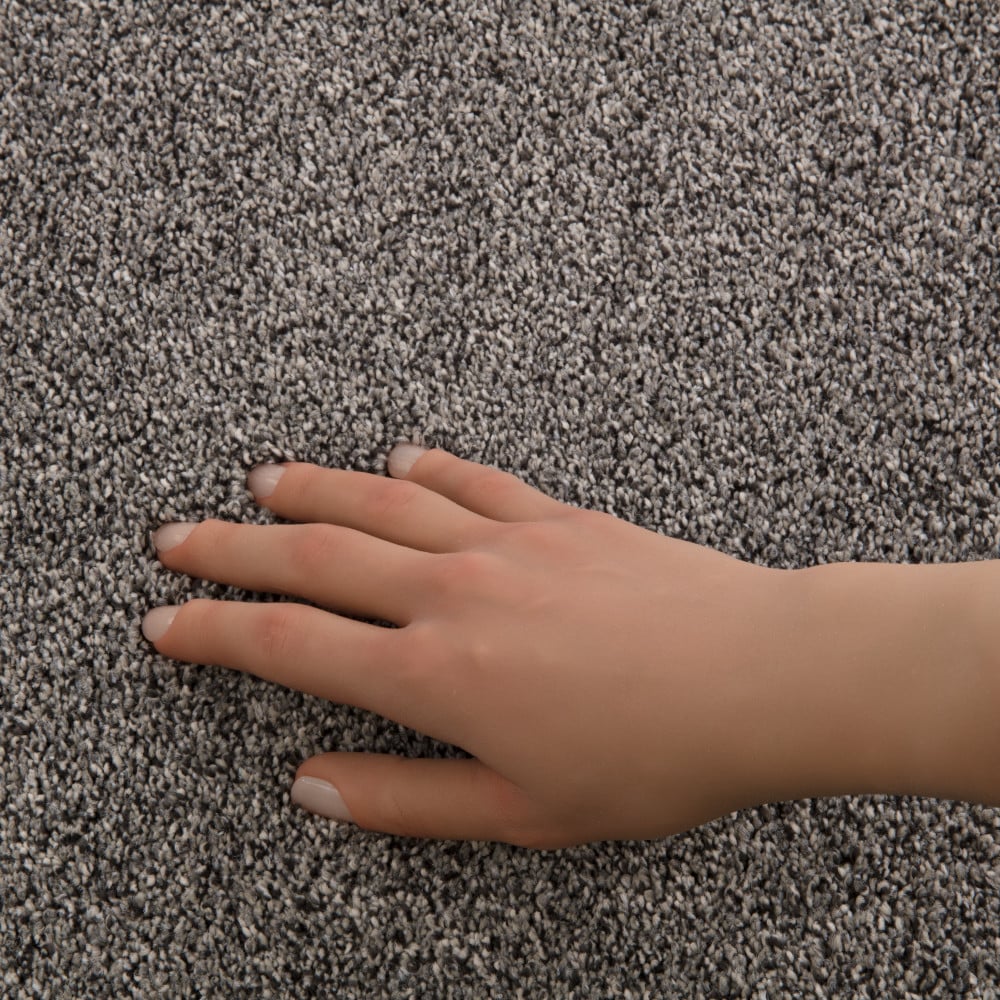 STAINMASTER PetProtect 7L94200541 Carpet-Panel - View #4