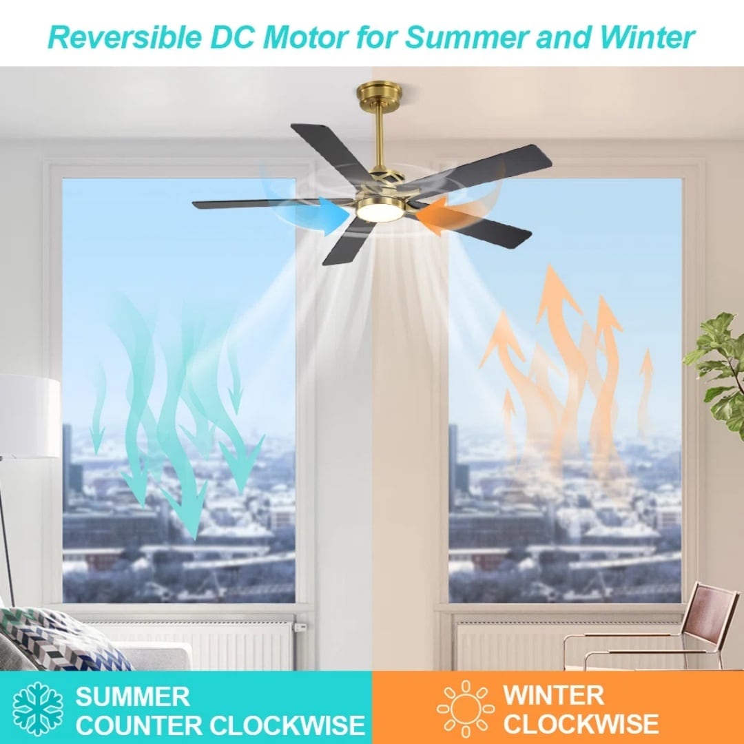 MLIAN WBCF-BS209-GB Ceiling-Fans - View #4
