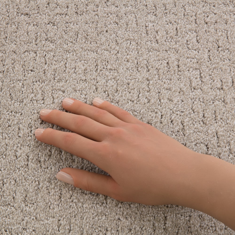 STAINMASTER PetProtect 7L943-124-SAMP Carpet-Samples - View #4