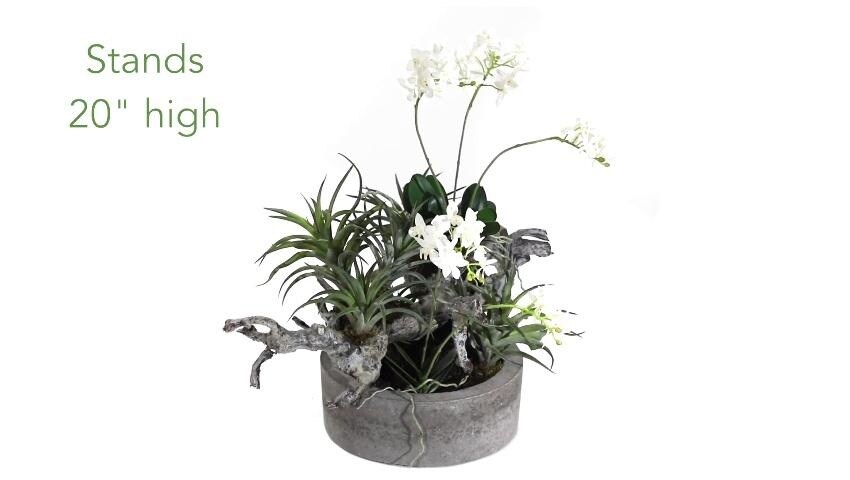 A thumbnail for the video