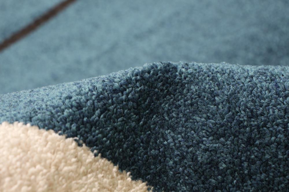 ECARPETGALLERY 315532 rugs - View #7