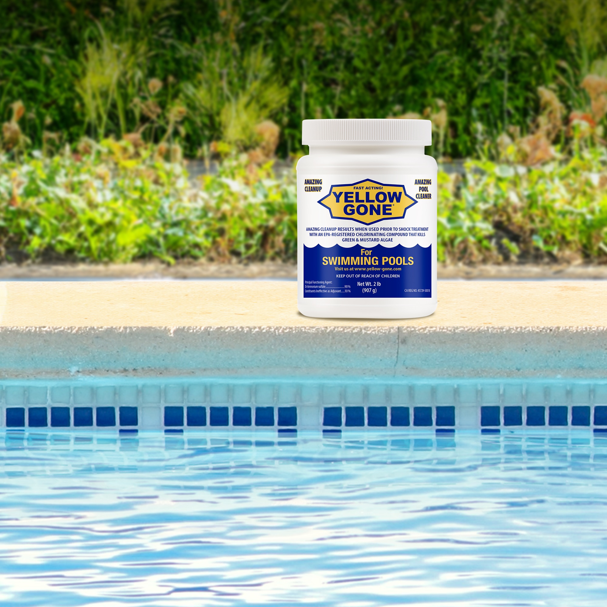 Yellow Gone 23502PTM Pool-Algae-Control - View #3