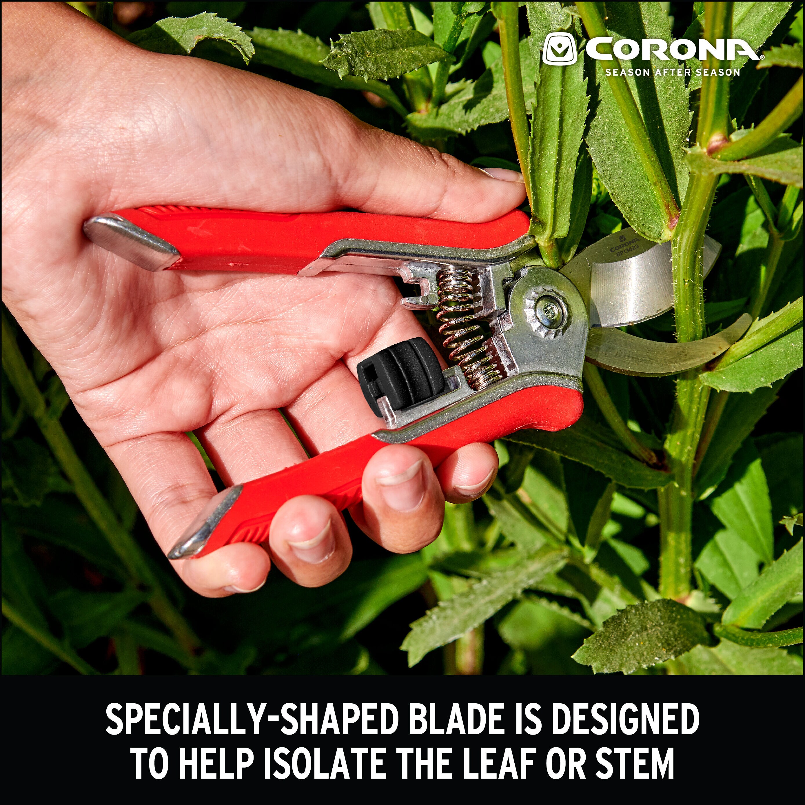 Corona BP13623 Hand-Pruners - View #7