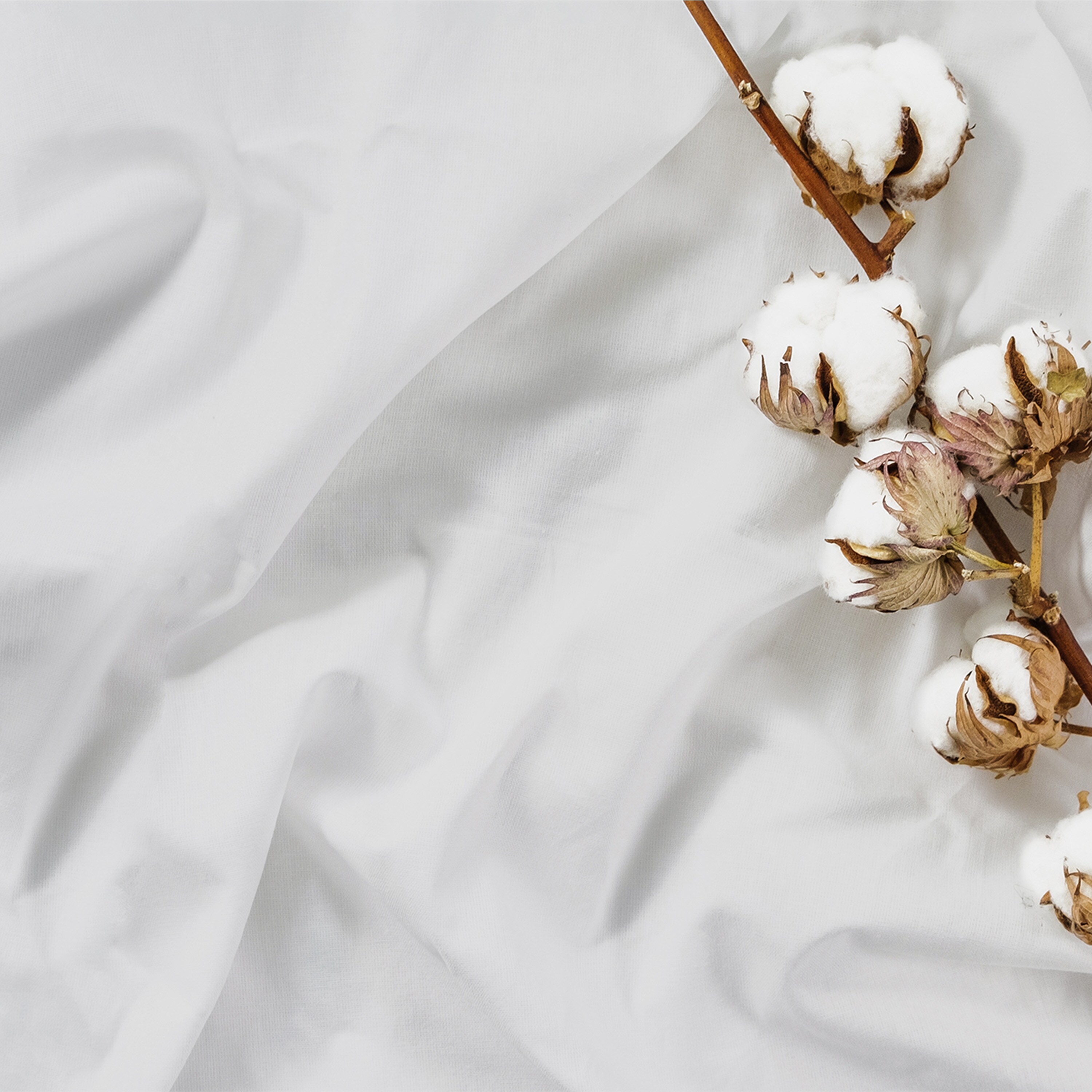 WestPoint Home 028828411037 Sheet-Sets - View #5