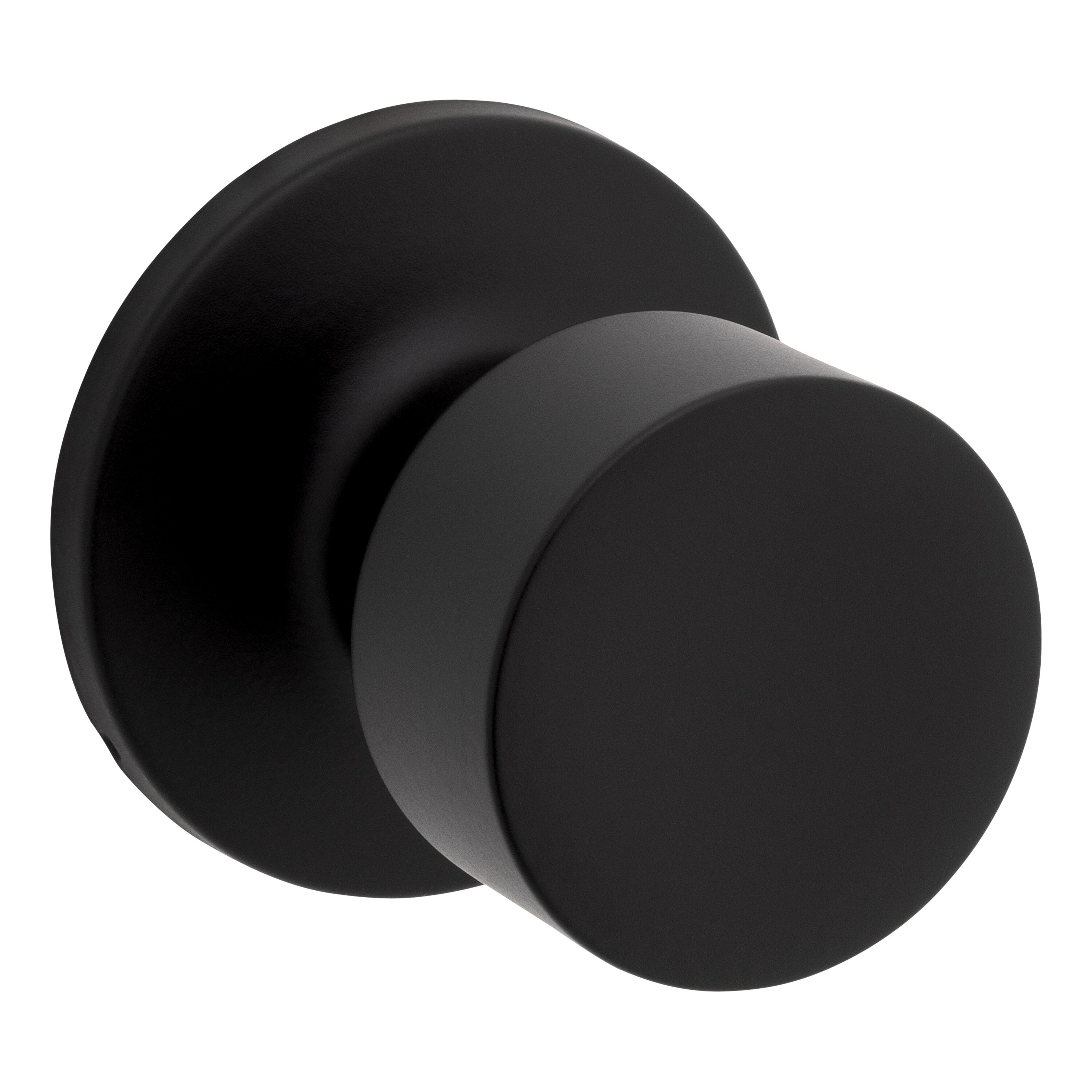 RELIABILT RELIABILT Wagner Matte Black Interior or Hall/Closet Passage ...