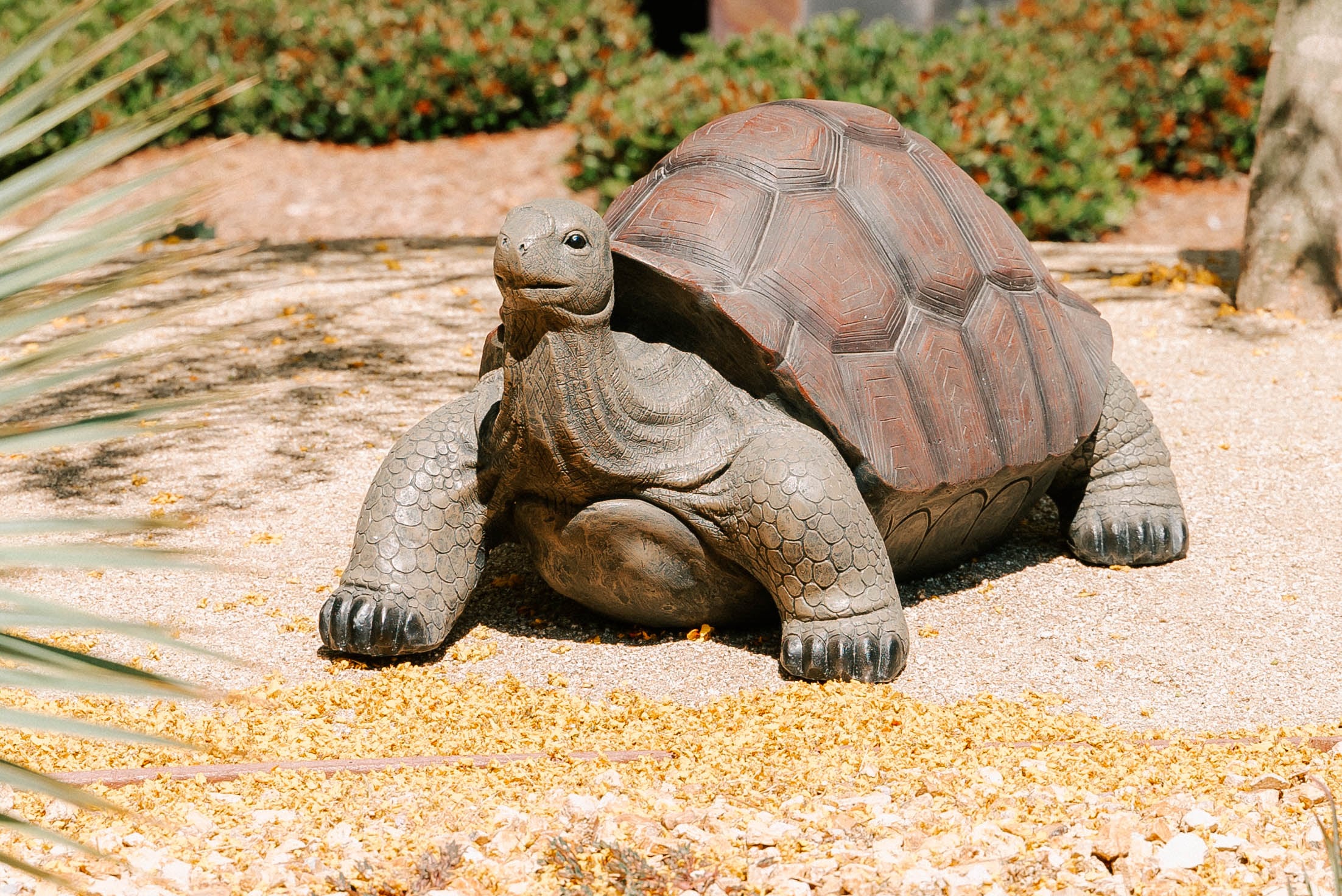 XBrand TORTOISEBNBKX91 Garden-Statue - View #4