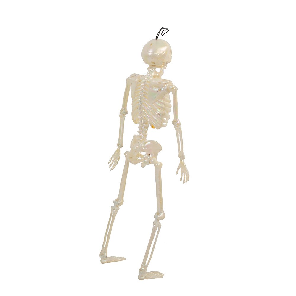 Haunted Living 91481RLW Table-Halloween-Decor - View #3