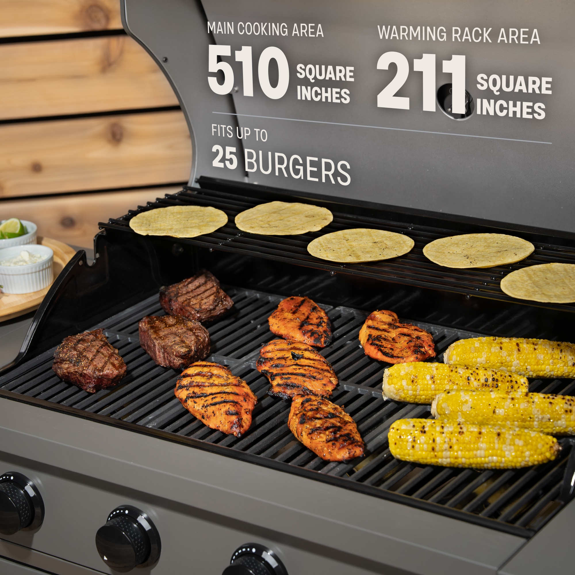 TYTUS TDT-021-0104 Gas-Grill - View #6
