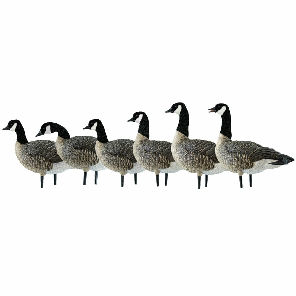  Avian X 408536 Hunting-Equipment - View #8