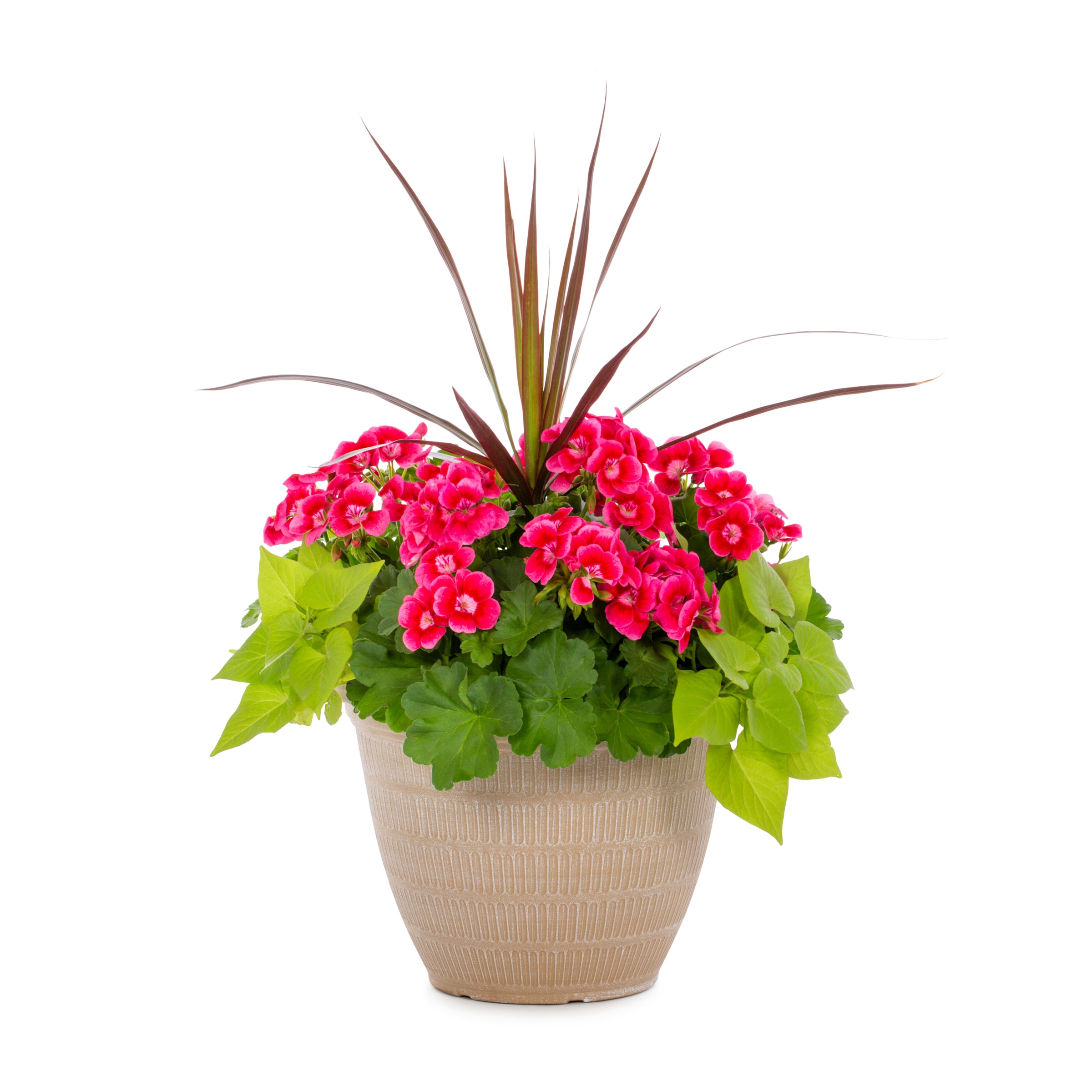 Lowe's 942823 Multicolor Mixed Annuals Combinations in 2.5 Gallon(s) Planter