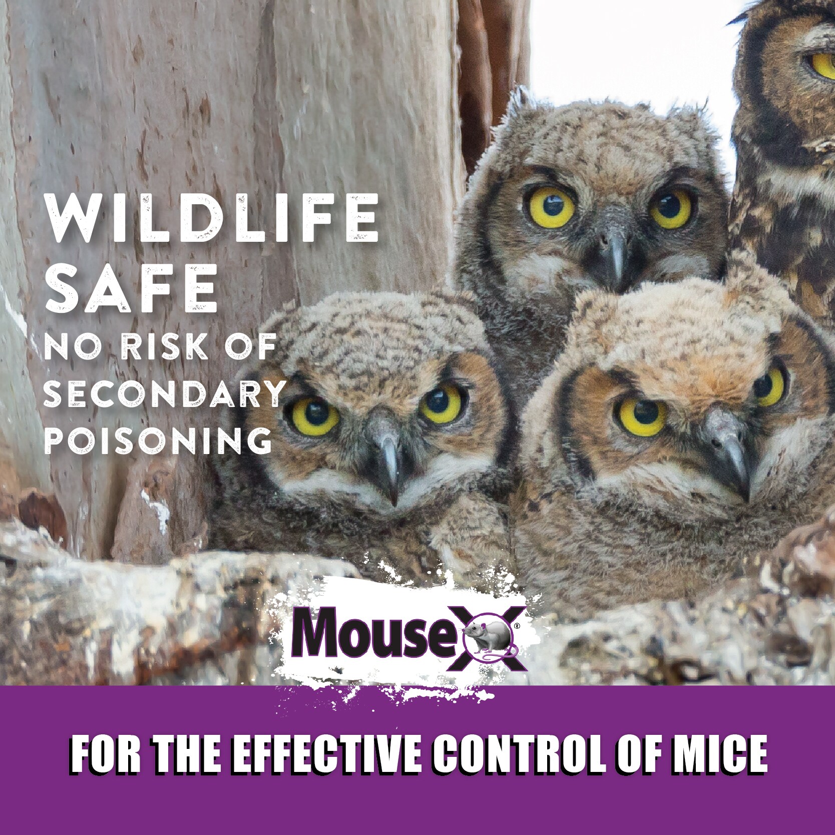 MouseX 620206 Animal-Rodent-Control - View #9