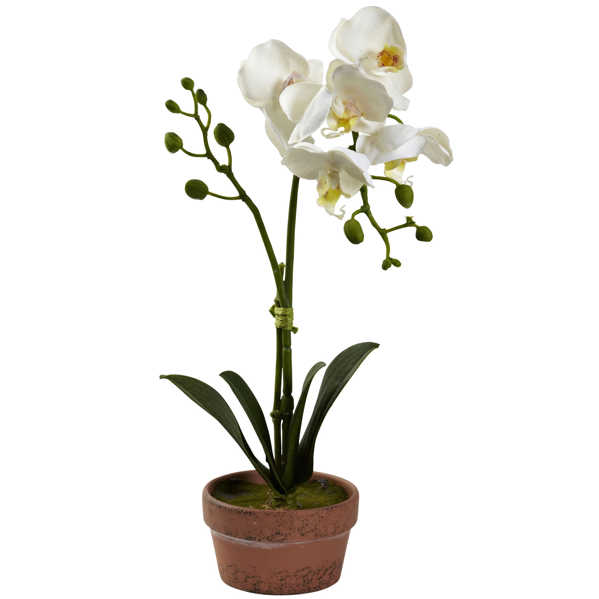Nearly Natural 4991-S4 Artificial-Plants-Trees - View #4