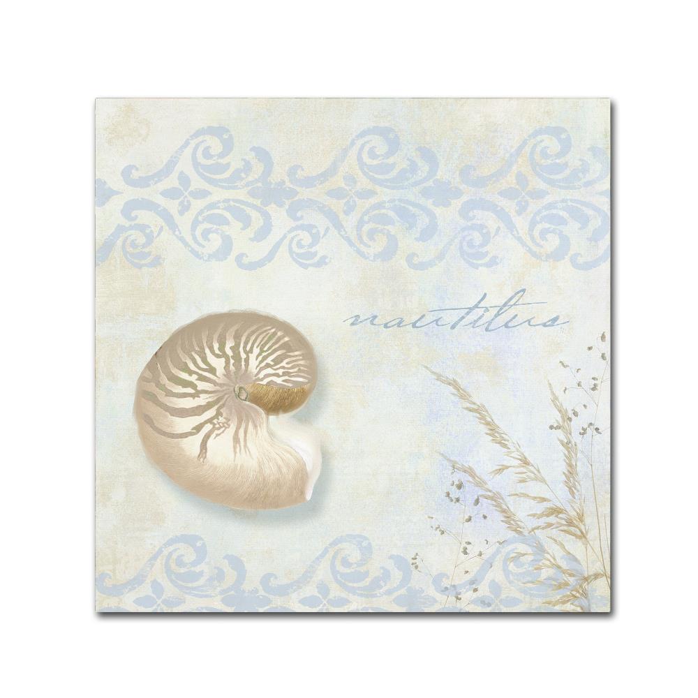 Trademark Fine Art ALI4805-C1818GG Framed 18-Inches H x 18-Inches W Coastal Canvas Print