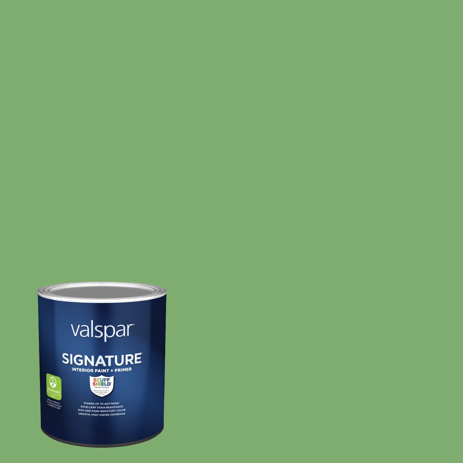 Valspar HGSW1263-773952 Signature Semi-gloss Organic Green HGSW1263 Latex Interior Paint Paint + Primer ( 1-quart )