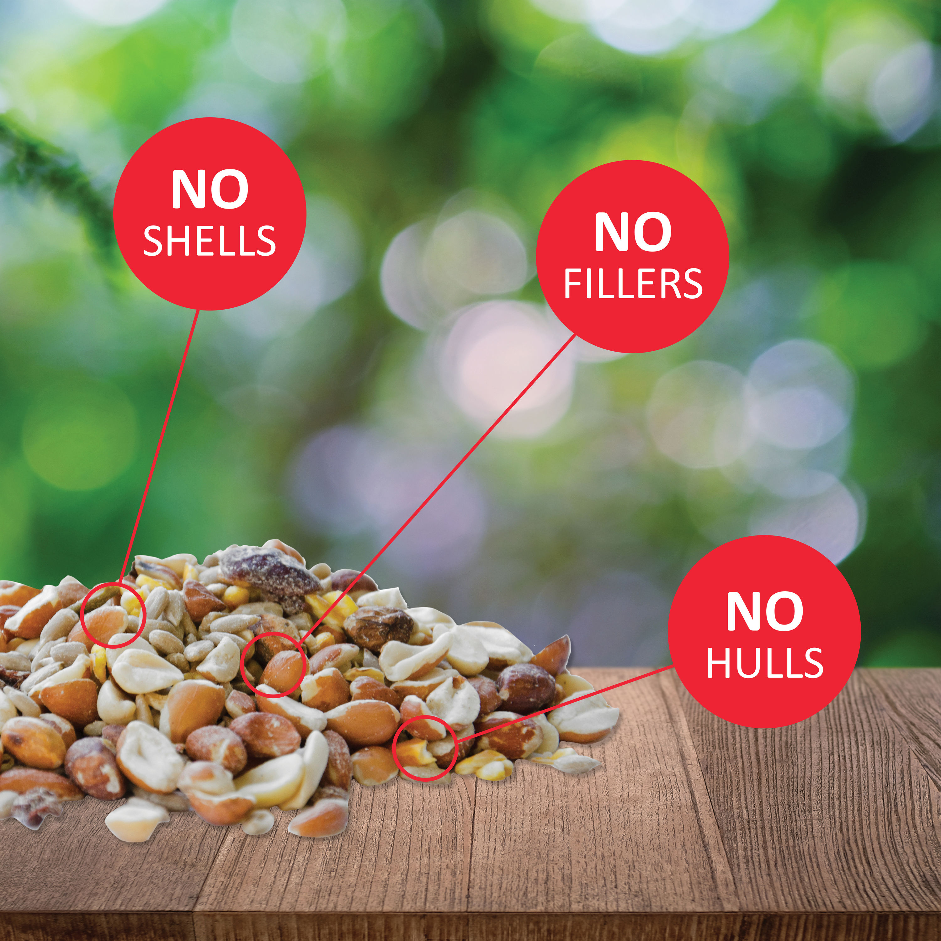 Lyric 2647334 Bird-Squirrel-Food - View #2