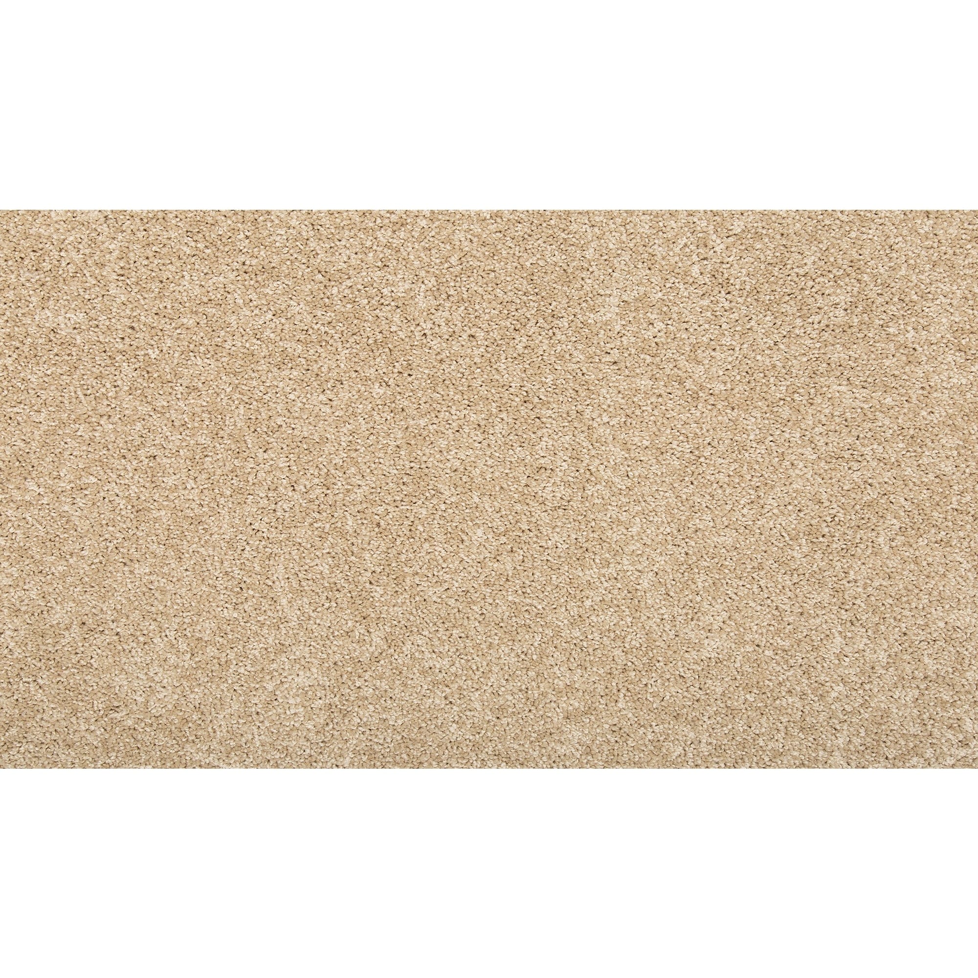 Style Selections SS016-L003-0808 (Sample) Carolina Coast II Almond Cream Brown 35-oz sq yard Solution-dyed Polyester Textured Indoor Carpet