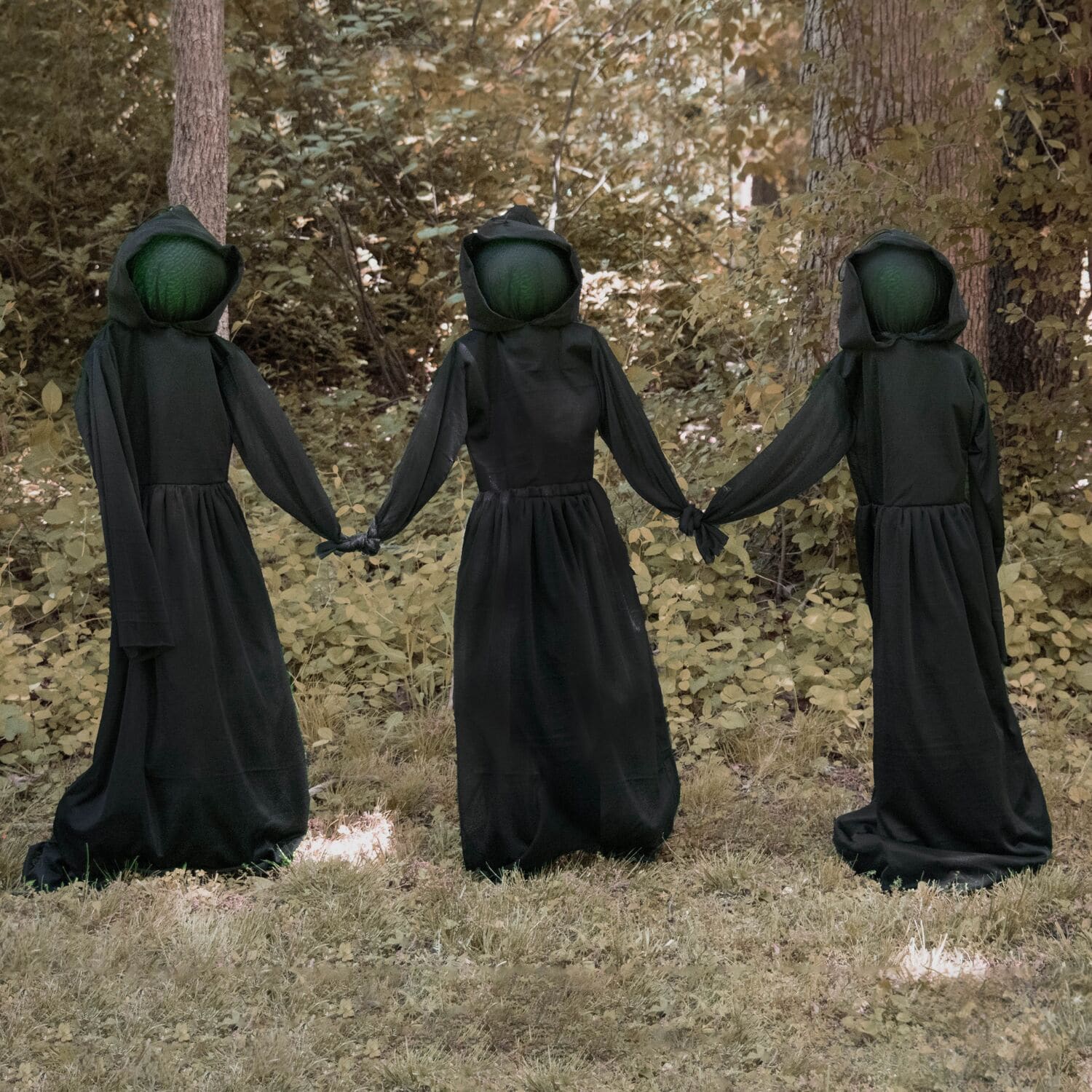 Haunted Hill Farm HHRPR-2FL Outdoor-Halloween-Decor - View #4