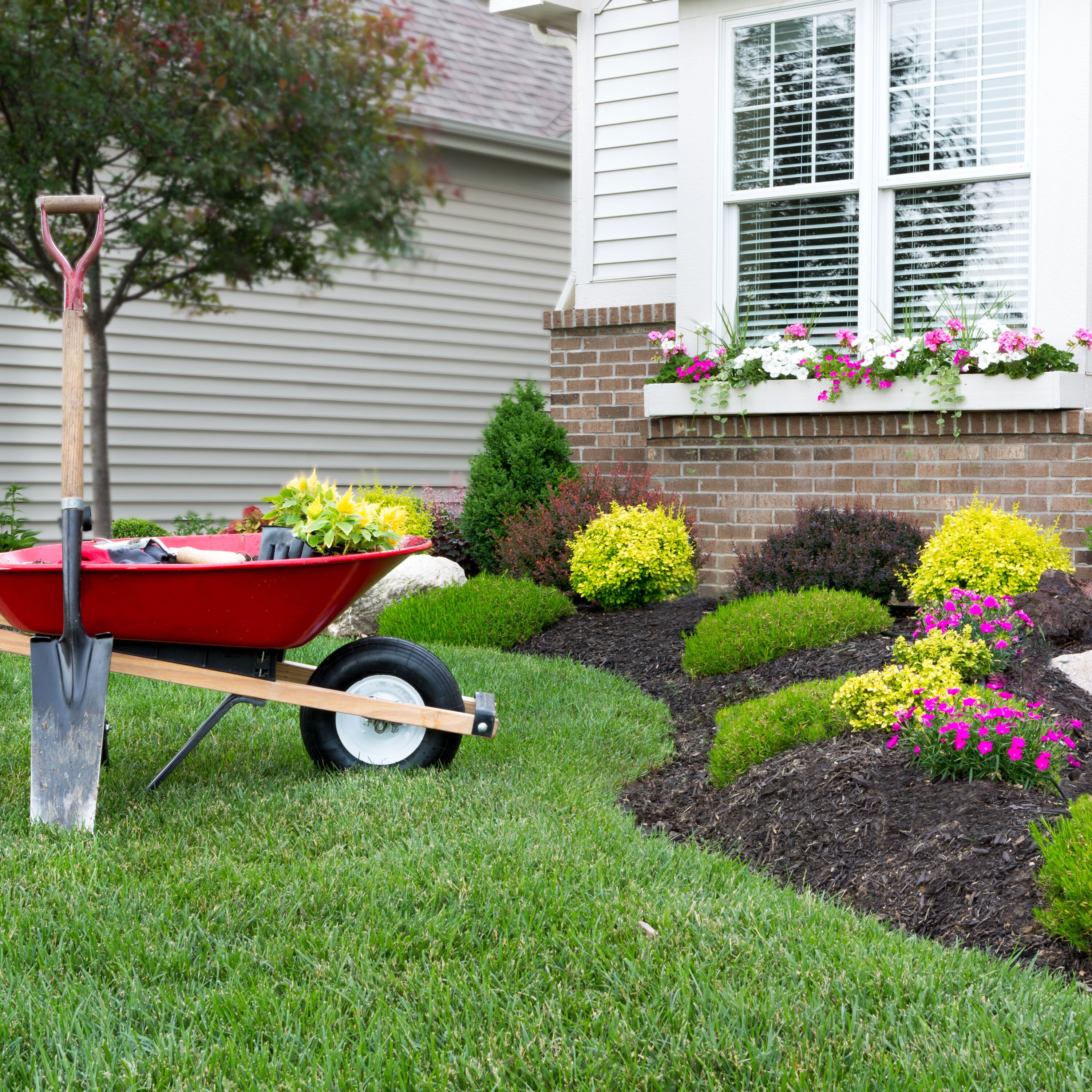 Woodace 2156360 Plant-Food - View #5