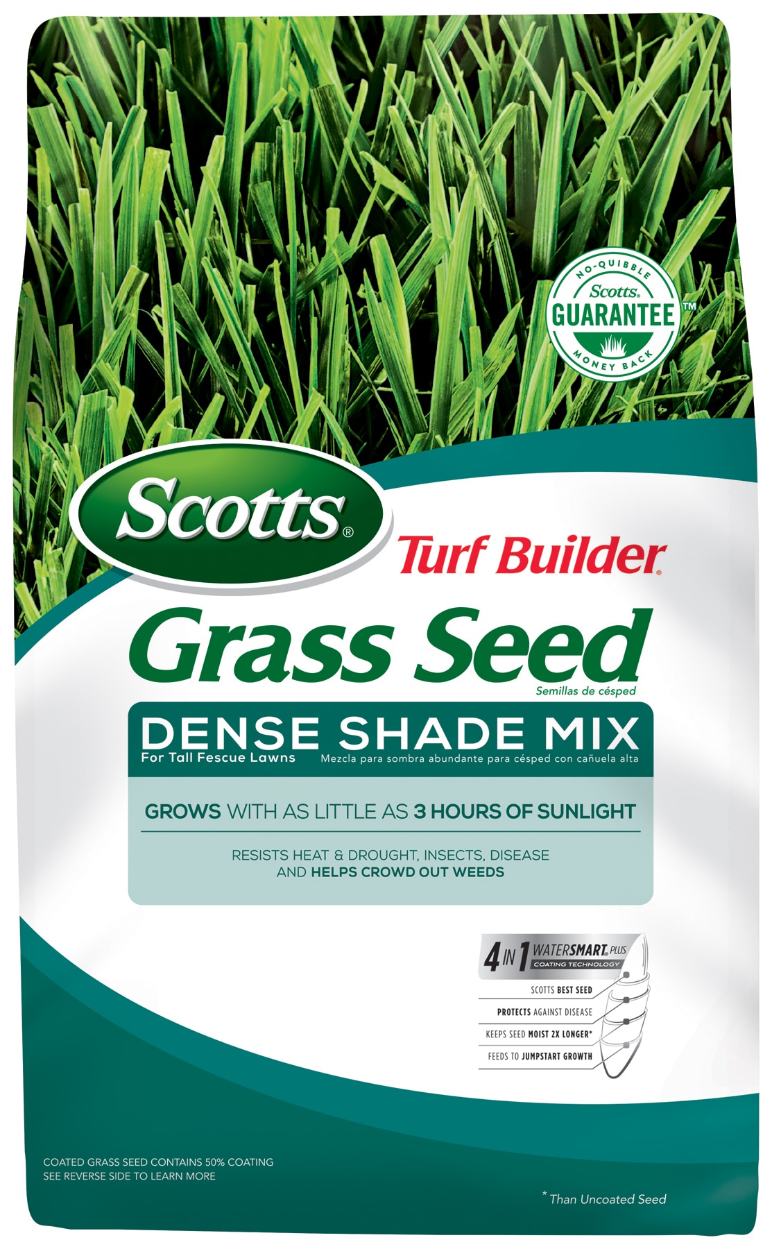 Dense shade grass deals seed