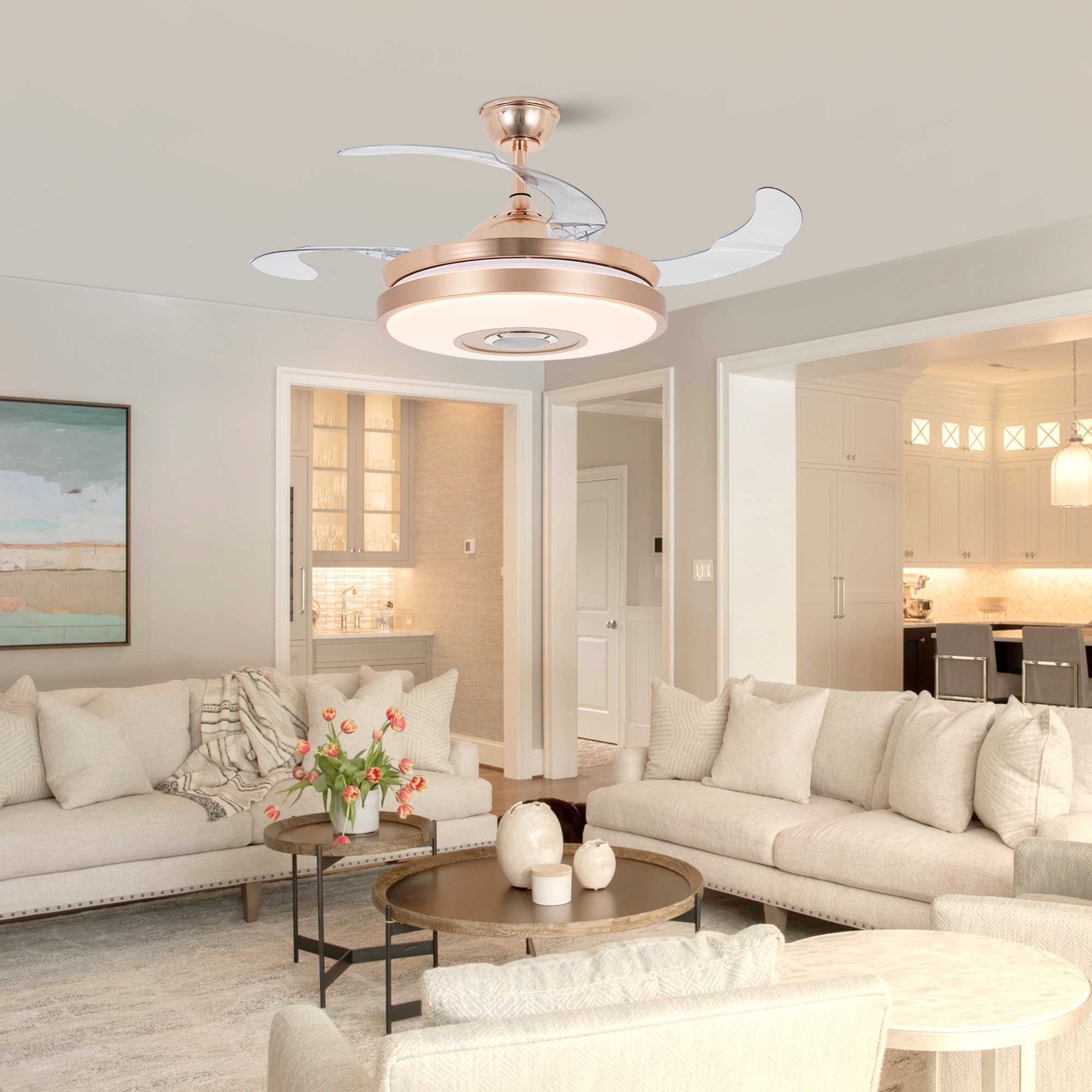 EFPERFECT DS-LN110 Ceiling-Fans - View #2