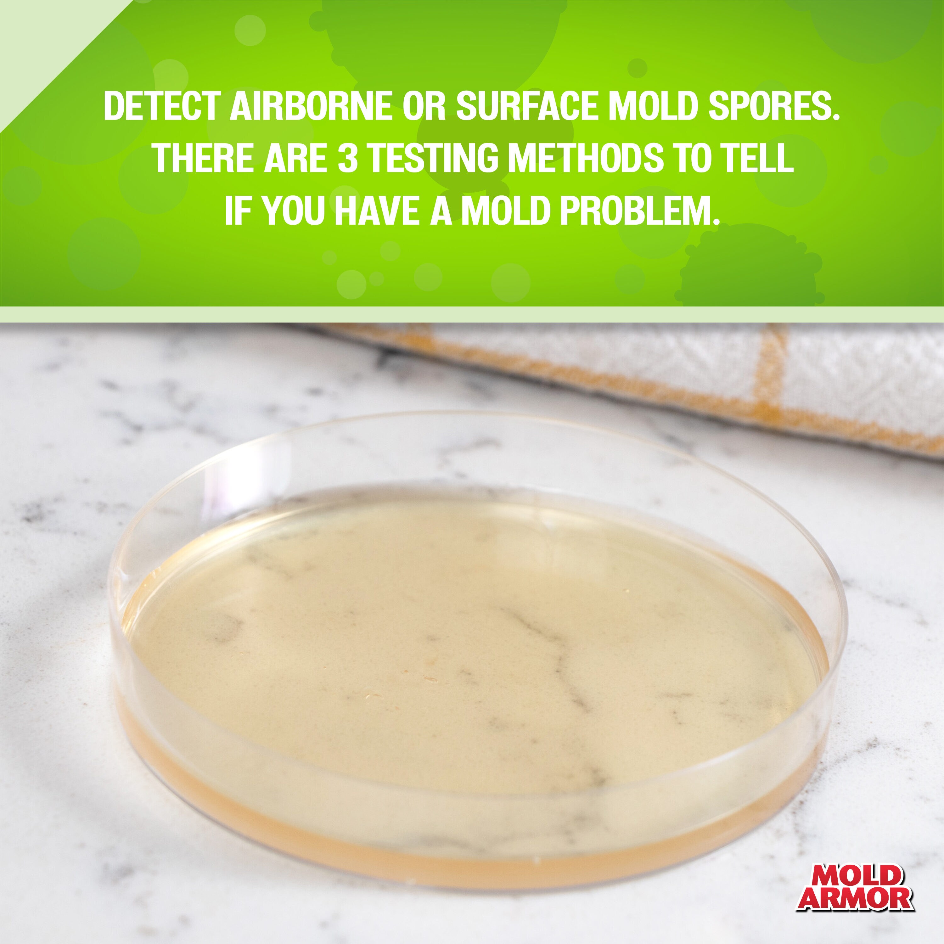 Mold Armor Mold Test Kit in the Mold Test Kits department at Lowes.com